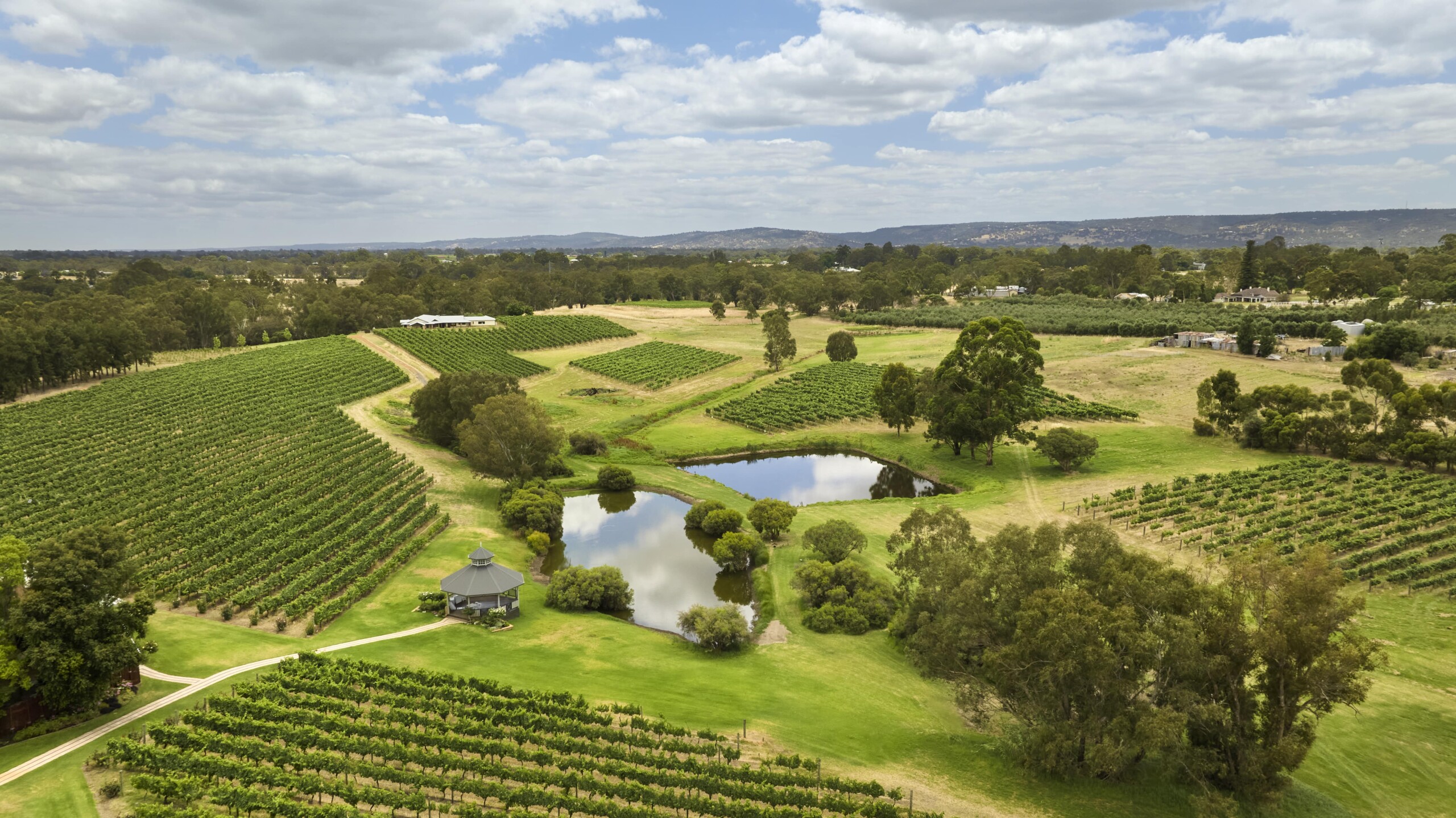 Premium Wine Regions
